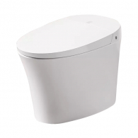 Умный унитаз Xiaomi Diiib Antibacterial Smart Toilet 400mm (DXMT001-400)