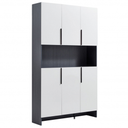 Шкаф в прихожую Xiaomi Linsy Closet In The Hallway Black/White (AK20-А)