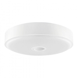 Потолочный светильник Xiaomi Yeelight Meteorite Induction Ceiling Lamp Mini (YLXD09YL)