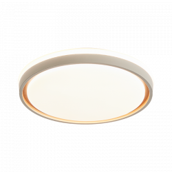 Потолочный светильник Xiaomi Huayi Nordic Minimalist Ceiling Lamp Circle 30+30W