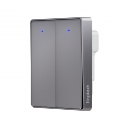 Умный выключатель двухклавишный с нулевой линией Xiaomi Linptech Glass Panel Smart Switch E1 Zero Fire Double  Grey (QE1GDB-W2 MI)