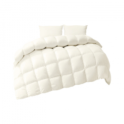Осеннее одеяло Xiaomi 8H Antibacterial Goose Down Y1C Champagne 750g (200x230cm)
